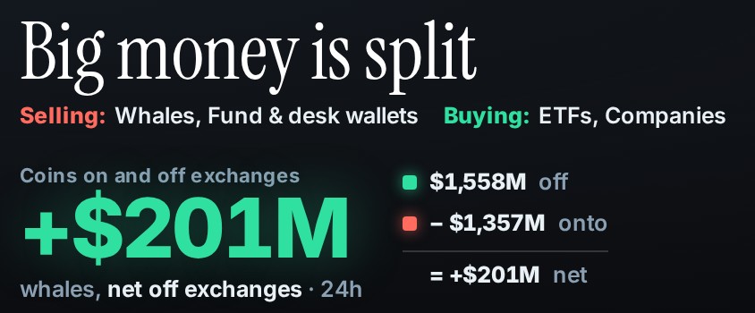 The Whales tab's summary: $1,558M off exchanges, $1,357M onto them, a net $201M off in 24 hours.
